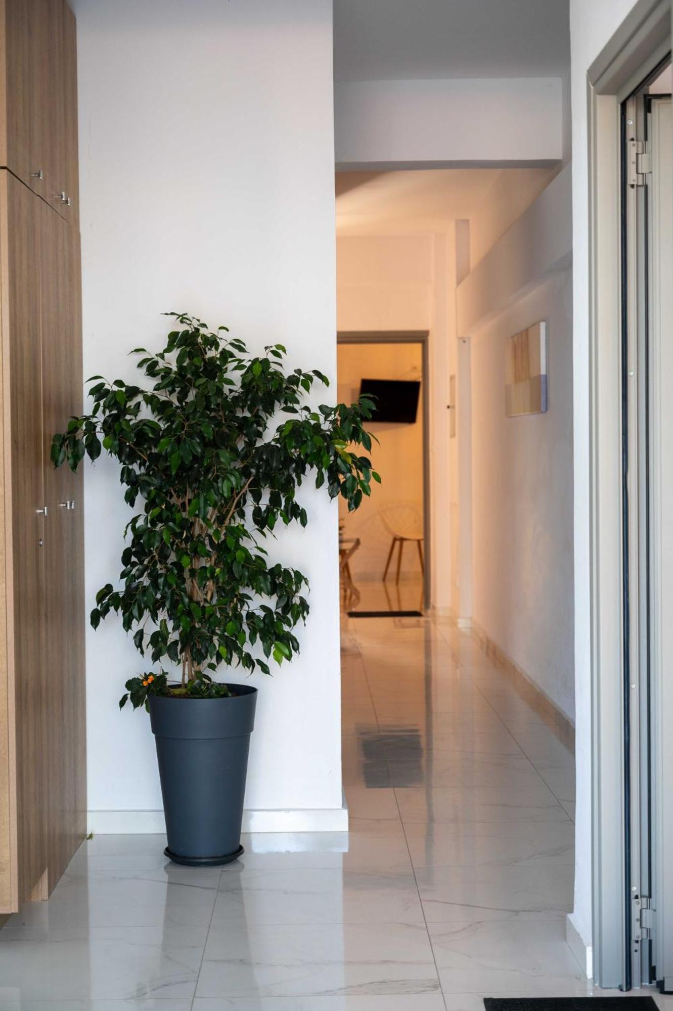 Finikas Suites & Apartments 10Min From Athens Airport Artemida  Exterior foto
