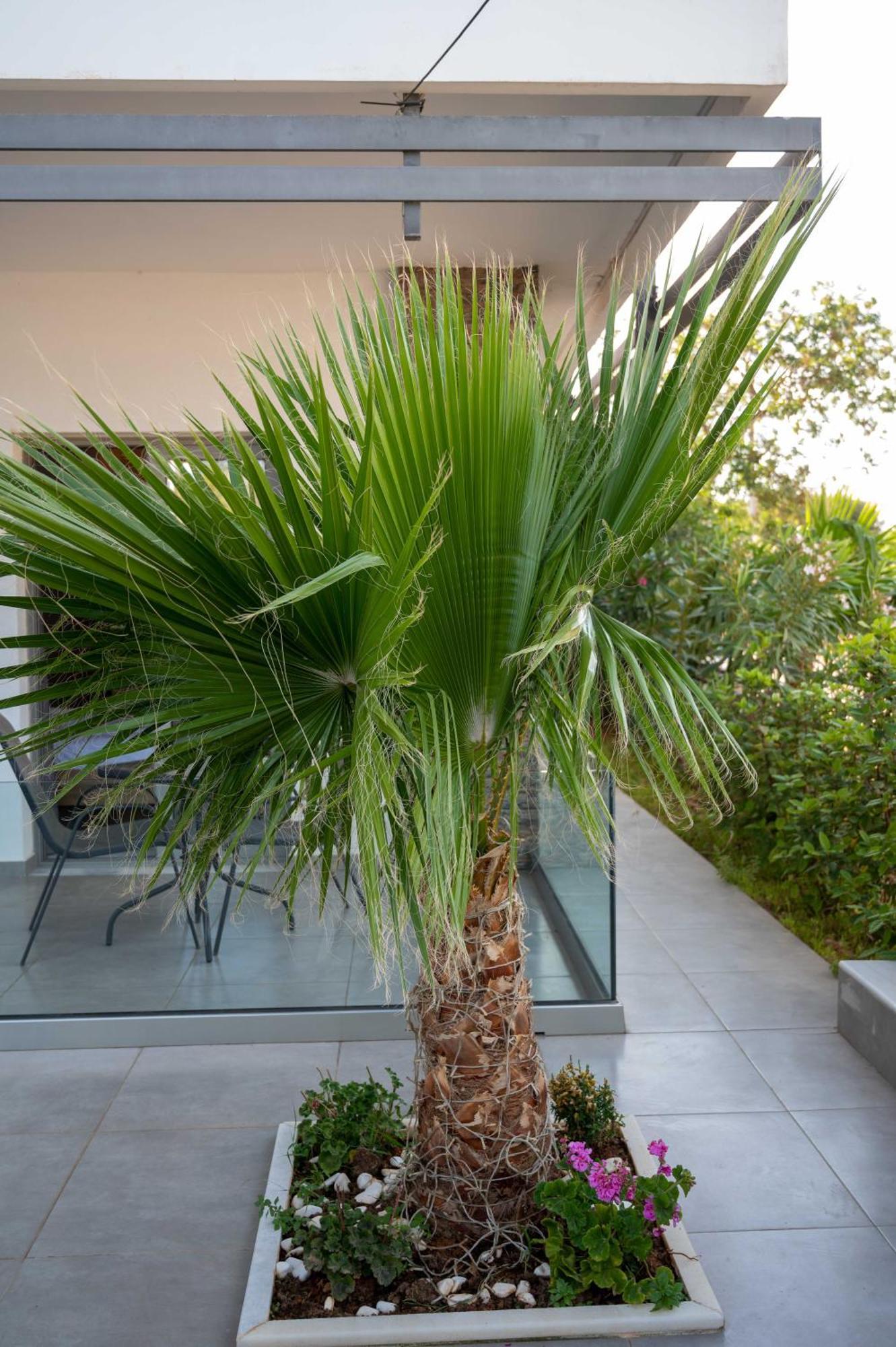 Finikas Suites & Apartments 10Min From Athens Airport Artemida  Exterior foto