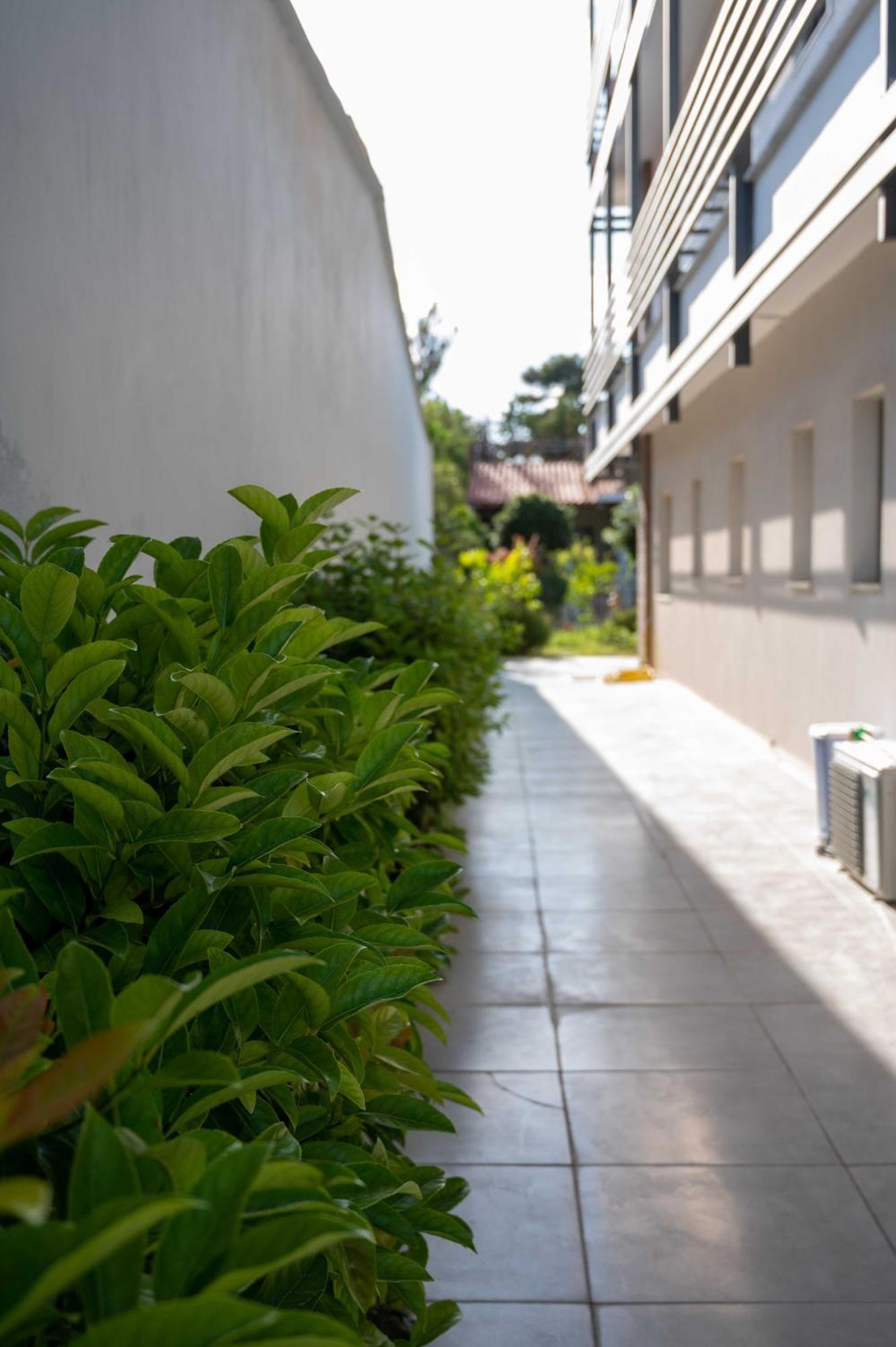 Finikas Suites & Apartments 10Min From Athens Airport Artemida  Exterior foto